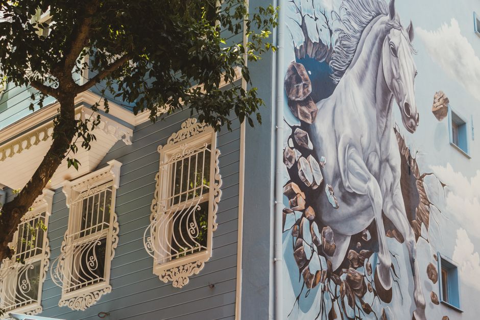 Painted exterior wall of a house in daylight